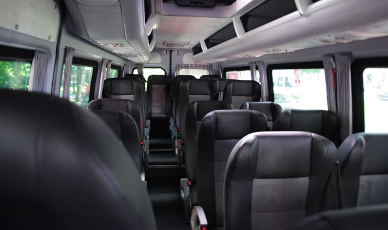 Italy: Coaches order in Tuscany in Tuscany and Siena